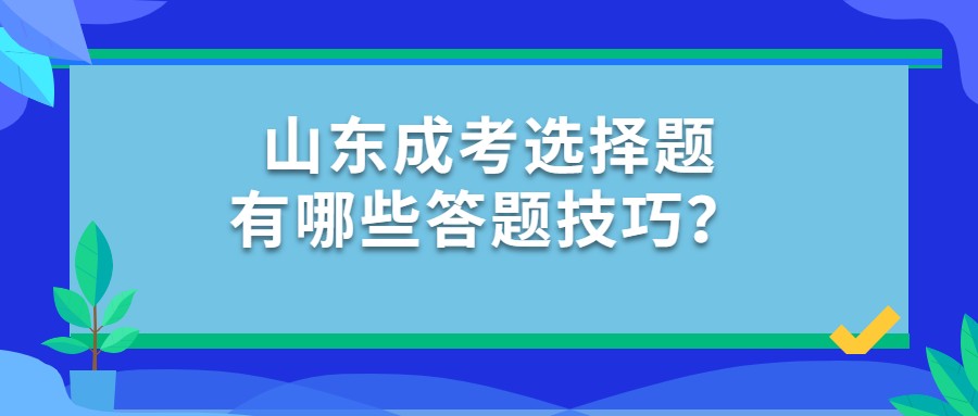 山东成考选择题