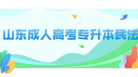 山东成人高考专升本民法