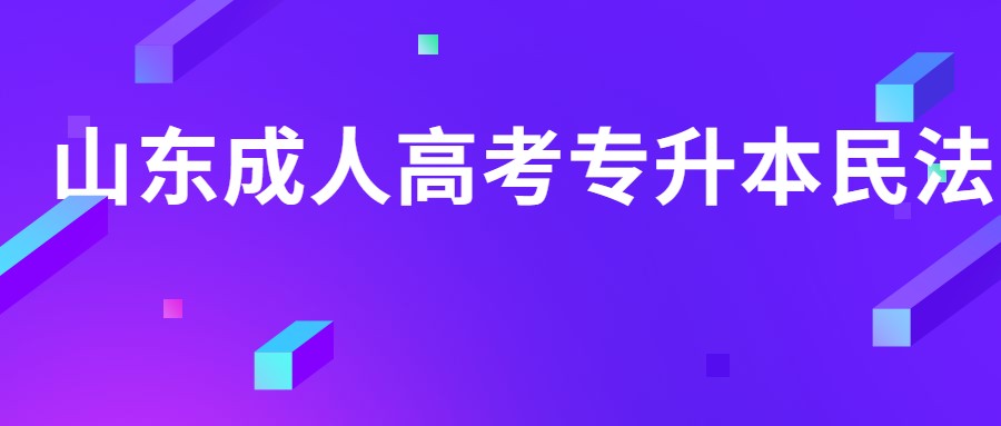 山东成人高考专升本民法