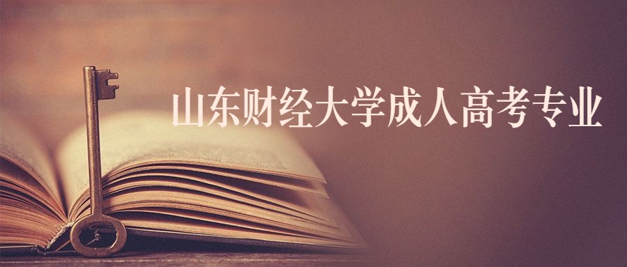 山东财经大学成人高考专业