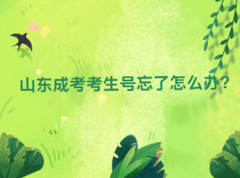 山东成考考生号忘了怎么办