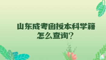 山东成考函授本科学籍怎么查询?