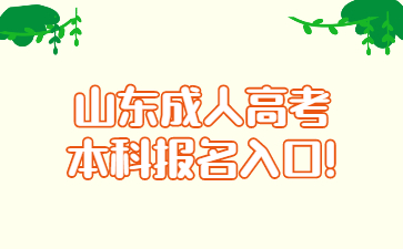 山东成人高考本科报名入口