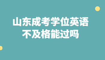 山东成考学位英语