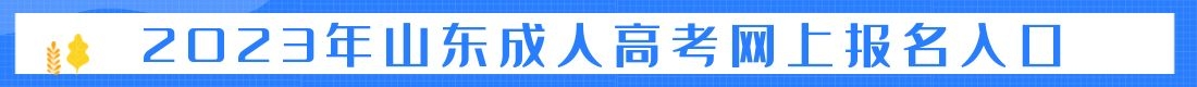 山东成考报名指导入口