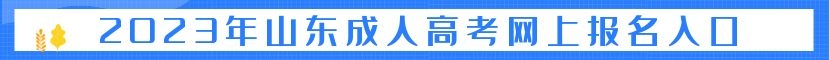 山东成考报名指导入口
