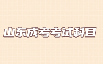 2024年青岛成人高考考试考什么内容?