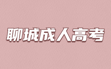 2023年聊城成人高考成绩查询入口