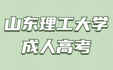 2024年山东理工大学成人高考网上报名有哪些注意事项?