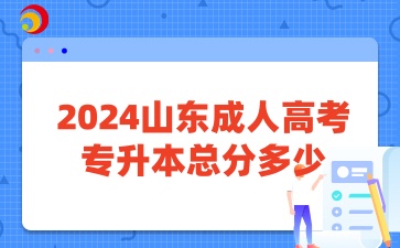 2024山东成人高考专升本总分多少