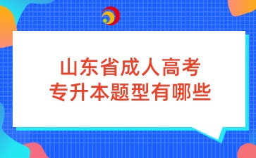 山东省成人高考专升本题型有哪些